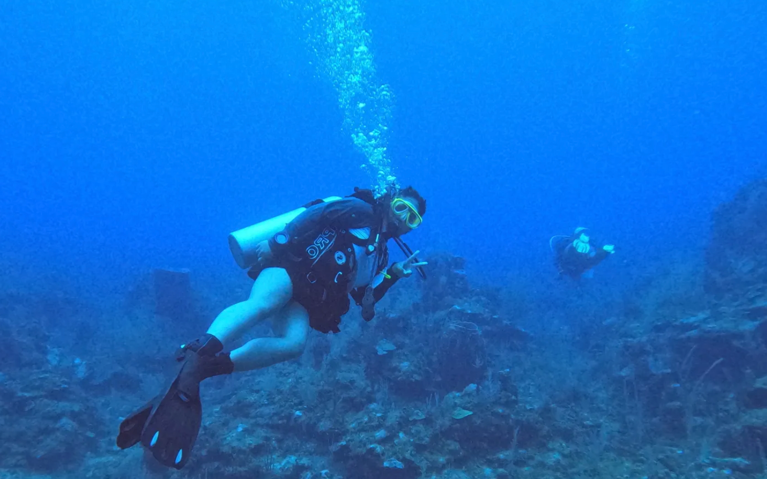 一名学生在洪都拉斯罗阿坦岛潜水